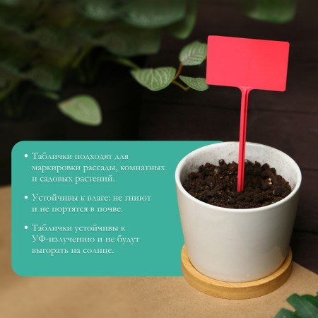 Garden signs for marking, 34 cm, set 10 pcs., Plastic, color mix, Greengo-2
