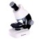 Children's microscope "A set of biologist in a suitcase" The multiplicity of x40, x100, x640, backlight, white color