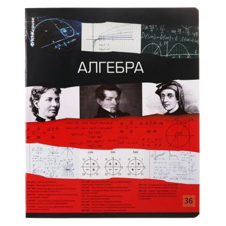 A set of subject notebooks 36 sheets, 12 pieces, Erichkrause "Timeline", coated cardboard, Blok OFSET 100%, information block-2