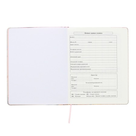 Universal diary for grades 1-11 Inspiration, hard cover, artificial leather, foil embossing, tinted block, 48 sheets-4