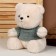 Soft toy "Bear", 26 cm, in a jacket, mix