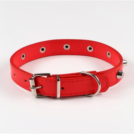 A collar with blurted spikes, 45 x 2 cm, mix of flowers-1