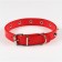 A collar with blurted spikes, 45 x 2 cm, mix of flowers