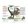 Mini-encyclopedia "World of dinosaurs", 20 p.