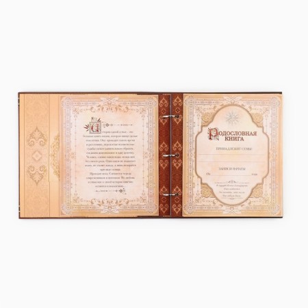 Pedigree book with a frame under the photo "Family"-5