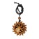 The wolf Kolovrat is the amulet of cedar, develops confidence and independence