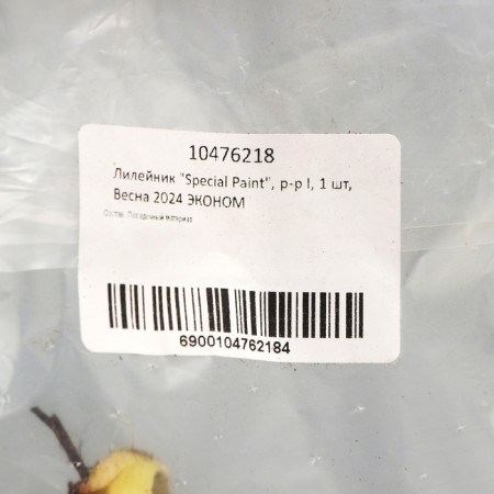 Lilenik "Special Paint", rr I, 1 pc, spring 2024 economy-1