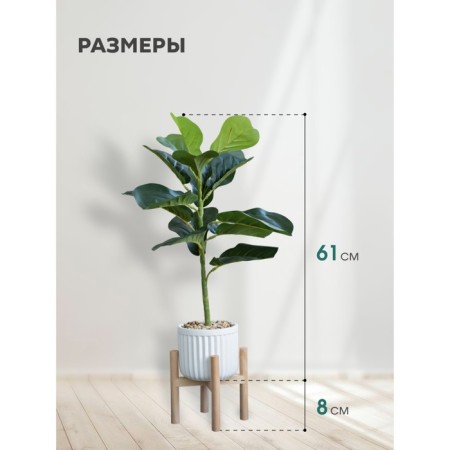 Ficus in a cement pot with a stand of MDF, 140 × 140 × 690 mm, green / white / beige color-1