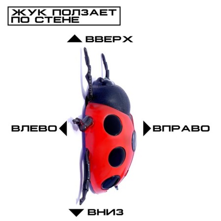 The beetle on the Radio Management "God's ladybug" crawls along the wall-2