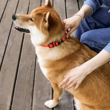 Collar One Line, fastener - fastx, 2 cm 25-40 cm-3