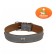 Animal collar