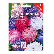 Flowers of xxxl Astra 