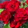 Saphenet Rosa Patio "Pandora", Kustovaya, 1 pc, Spring 2024