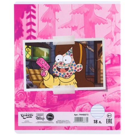 Notebook in a line of 18 sheets, 5 types of mix, cover coated cardboard, gravity farz-3