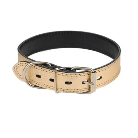 The collar is two-layer leather, width 3.5 cm, Osh 41-51 cm, gold