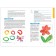 Fine activity in kindergarten. Summaries of classes. From 5 to 6 years. Komarova T. S.