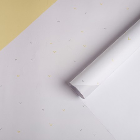 Photophone "Children's" paper, 70 x 100 cm, 130 g/m²