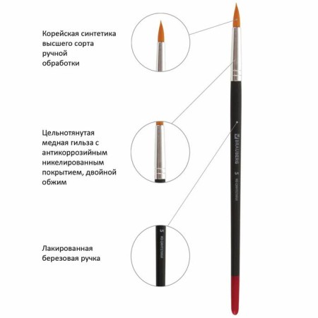 Set of brushes, synthetics, 5 pieces, Brauberg (round, No. 1, 2, 5, flat No. 5, 8), blister-4