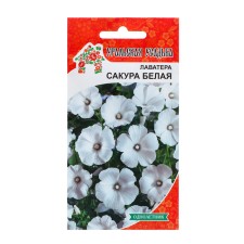 Семена Цветов Лаватера "Сакура белая"   , 0 ,2 г  ,