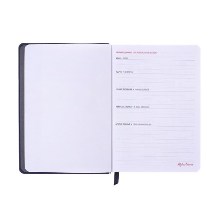 Dated diary of 2025, A6+, 176 sheets "Lyon", solid cover, pancake embossing, with liesa, block 80 g/m2, blue-4