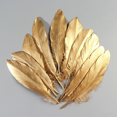 A set of goose feathers 15-20 cm, 10 pcs, golden-1