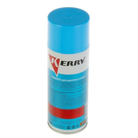Frust for a quick start Kerry, 520 ml, aerosol-1