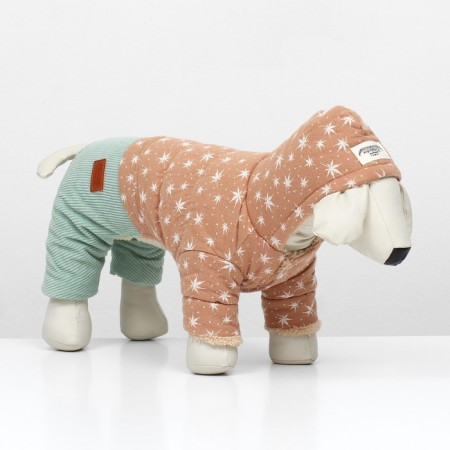 Kombinson "Walk", size S (DS 24, OG 38, Osh 27 cm, up to 4 kg), beige/mint-3