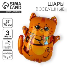 Шар фольгированный 28" «Котик-волшебник», набор 3 шт.