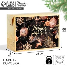 New Year's Night Package Corps, 28 x 20 x 13 cm, New Year
