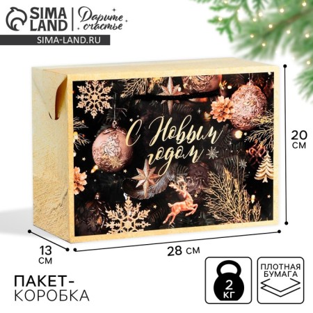 New Year's Night Package Corps, 28 x 20 x 13 cm, New Year