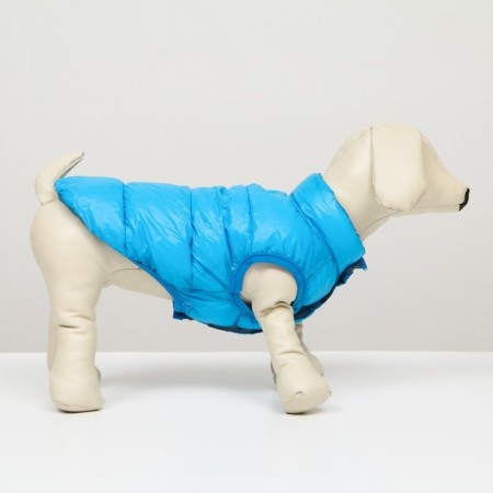 Dog jacket two -sided with print, size 10 (DS 25 cm, OG 34 cm, Osh 24 cm), Blue-1