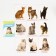 Mix Training cards according to the method of Glen Doman “We Expand the horizons”, 10 pieces, A6, 2+