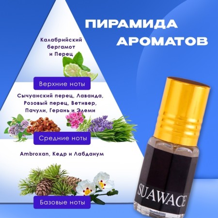 Men's oil perfume sauwace, 3 ml-1