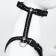 Cat for cats, width 1 cm, reflective, Osh 16.5-27 cm, fire 21-35 cm, black