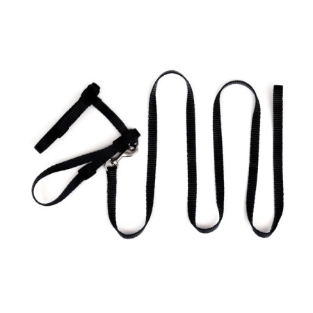 Kit for cats, width 1 cm, Osh 16.5-27 cm, fire 21-35 cm, leash 120 cm, black-6