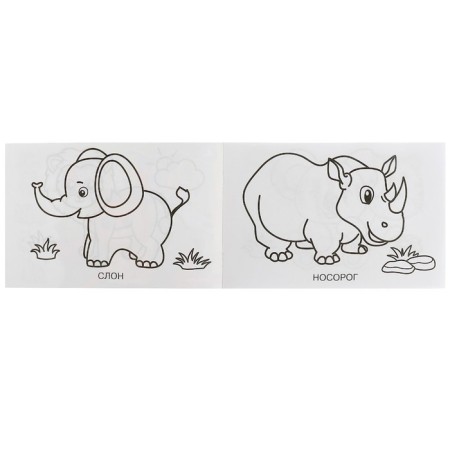 Coloring "Zoo", 8 pages-2