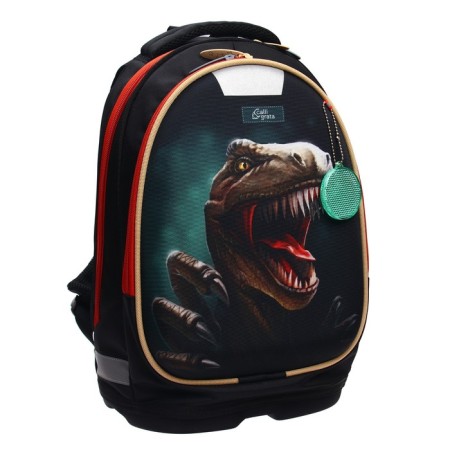 School backpack, 39 x 28 x 18 cm, + bag for shoes, calligrata p "Cool dino", green-16