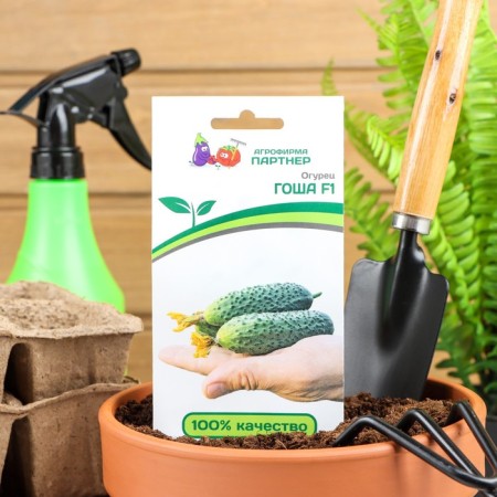 Cucumber seeds "Gosha", F1, 5 pcs.