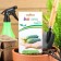 Cucumber seeds "Gosha", F1, 5 pcs.
