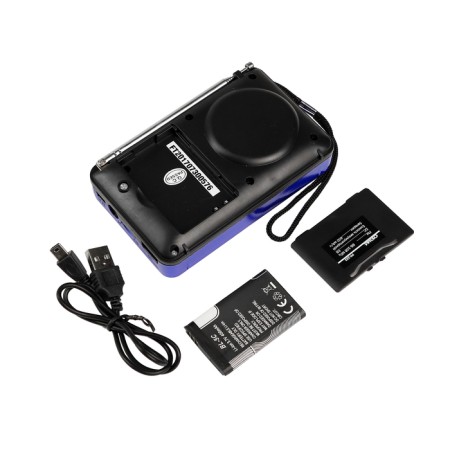 Radio "Signal" RP-222, 220 V, battery 400 mAh, USB, SD, display-4