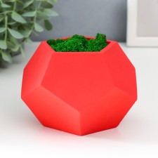 Kashpo concrete 
