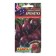 Seeds beets table brunette dishes of countries of the world ts/p 3g