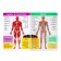 Book with transparent pages "My Body", 32 p.