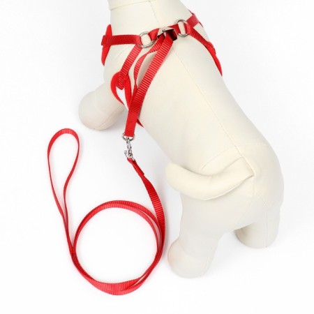 A set with a soft harness and a bow, size l, leash 120 x 1.5 cm, og 35-50 cm, red-2