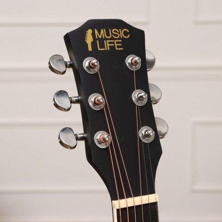 Acoustic guitar Music Life YD-D38Q, black-1