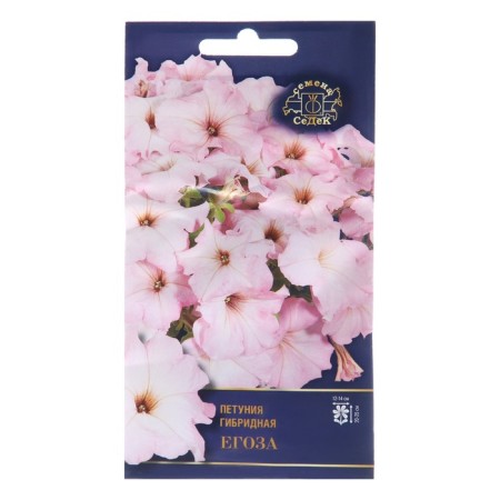 Flowers of Petunia "Yegoza",