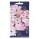 Flowers of Petunia "Yegoza",