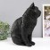 The piggy bank "Cat black color" is 31.5 cm height, width 16 cm, length 24 cm.