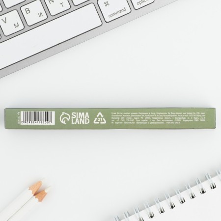 Ballic pen, plastic "February 23"-4