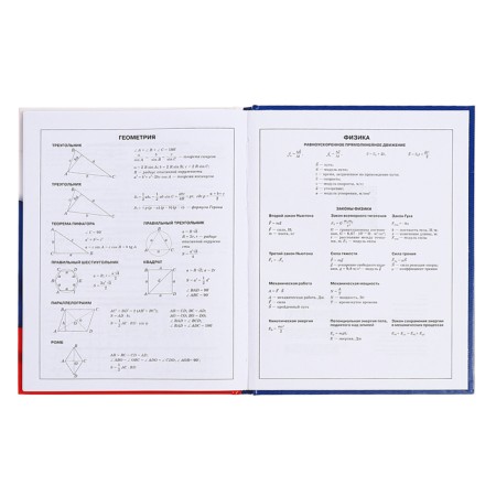 Diary for grades 5-11, 48 sheets of "Russian schoolchild No. 4", hard cover, glossy lamination, block 60 g/m2-14
